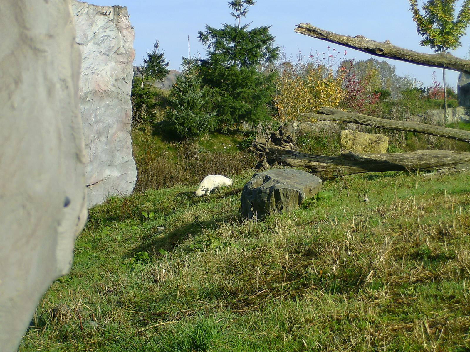 Zoom 18.10.08-022.jpg